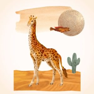 Collage giraffe