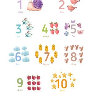 Numbers